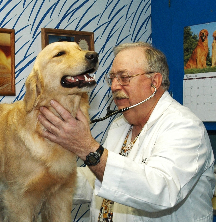 the animal house buzzards bay Daphne Dodson